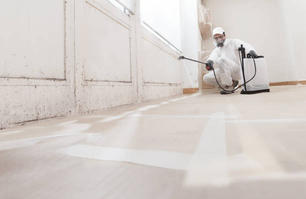 24/7 Emergency Mold Remediation experts in West Milford, NJ